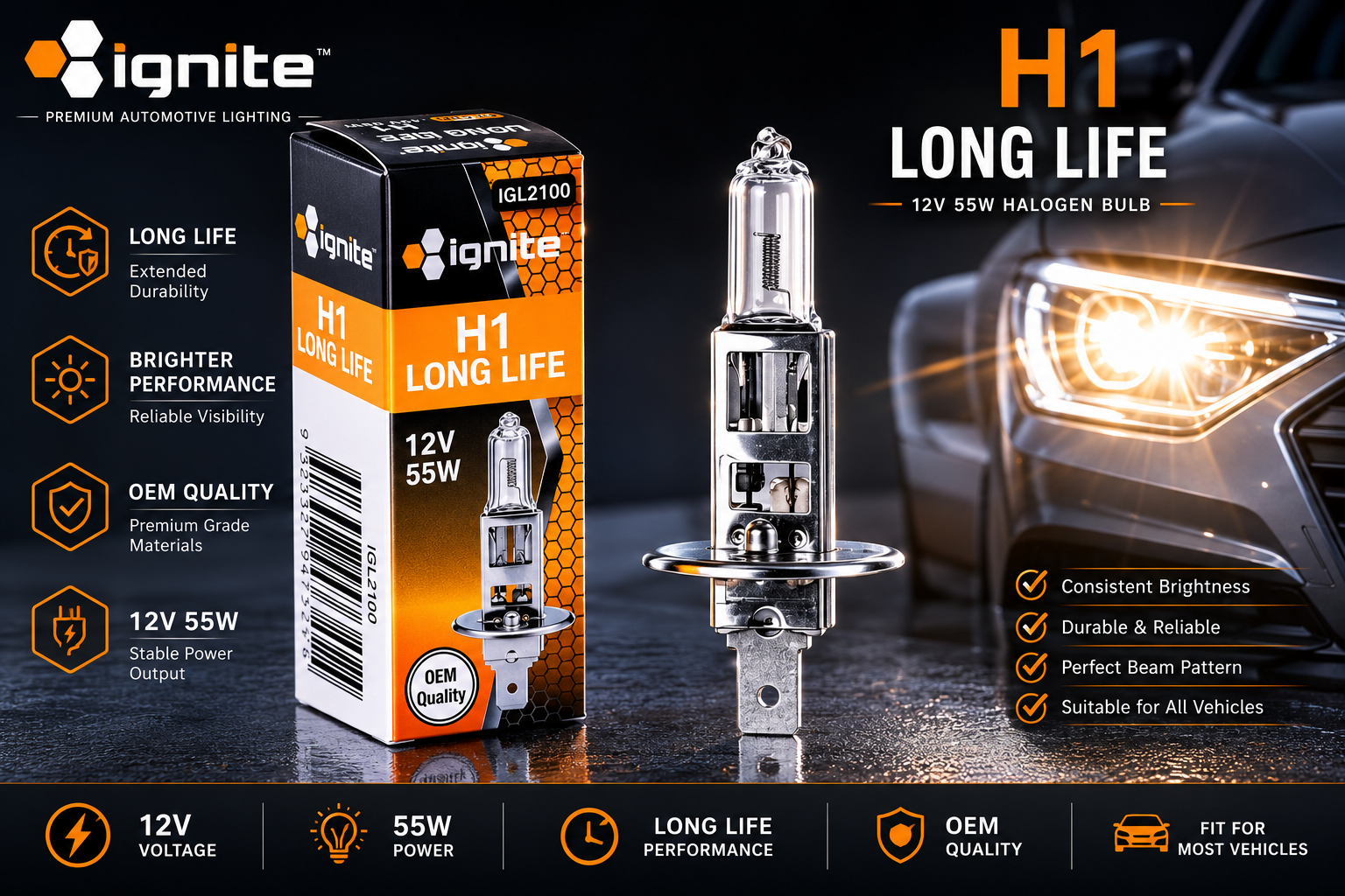 H1 HALOGEN GLOBE 12V 55W P14.5s BASE LONG LIFE BOX